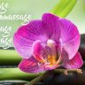 Isan Thaimassage & Spa Rostock