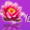 Koy Thaimassage in Bamberg